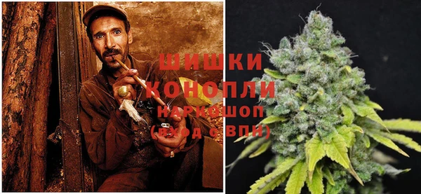 первитин Богородицк