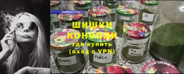 mdpv Богородск