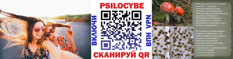 Галлюциногенные грибы Psilocybine cubensis  Безенчук 